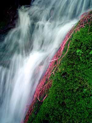 Hautes Gorges de la Rivire Malbaie