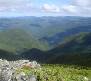 Mont Jacques Cartier 